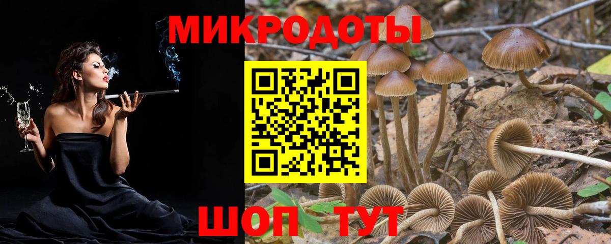 Новодвинск  Псилоцибиновые грибы мухоморы  Псилоцибиновые грибы прущие грибы  Вход с VPN 