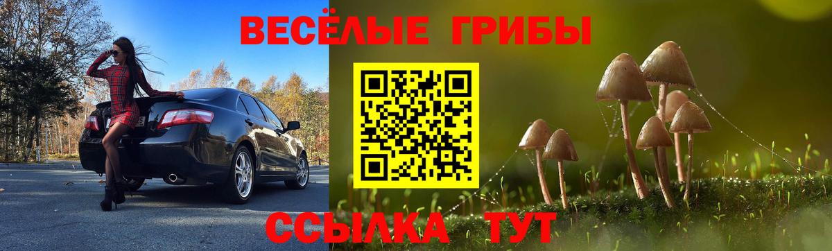 Галлюциногенные грибы Magic Shrooms Новодвинск